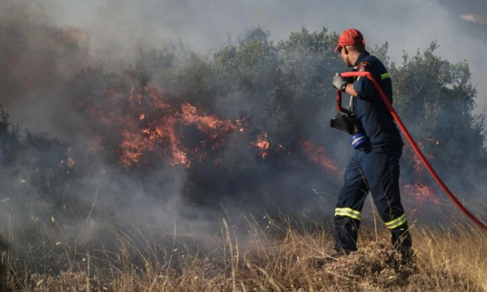 Πυροσβεστική: 44 πυρκαγιές εκδηλώθηκαν το τελευταίο 24ωρο στη χώρα